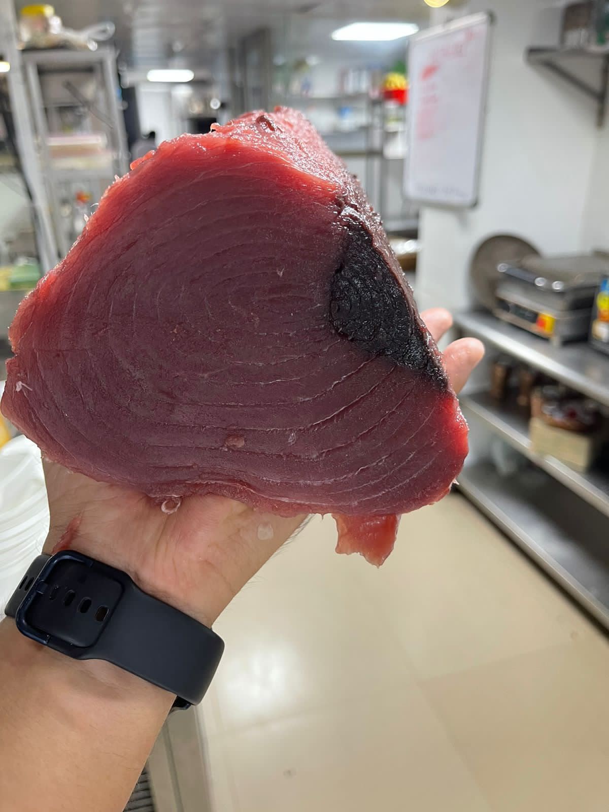 Sushi Grade Tuna